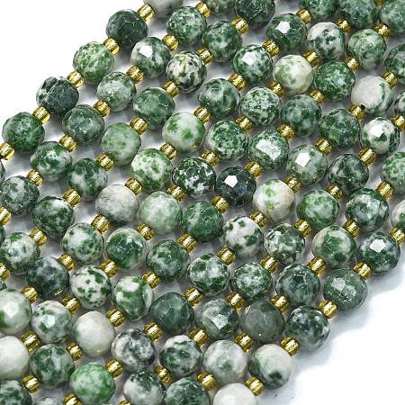 Natural Green Spot Jasper Beads Strands G-K389-E64-01-1