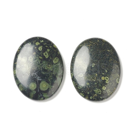 Natural Kambaba Jasper Worry Stone for Anxiety Therapy G-B036-01M-1