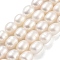 Natural Cultured Freshwater Pearl Beads Strands, Rice, Grade 3A, White, 7~8mm, Hole: 0.6mm, about 21~22pcs/strand, 6.89''~7.09''(17.5~18cm)