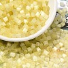 Glass Seed Beads SEED-H002-D-A802-1