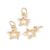 Rack Plating Alloy Charms FIND-G036-01LG-3