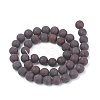 Natural Bloodstone Beads Strands G-T106-095-3
