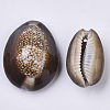 Natural Cowrie Shell Pendants X-SSHEL-N034-24-3