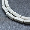 Natural Howlite Beads Strands G-F631-E10-3