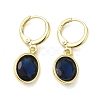 Real 18K Gold Plated Brass Dangle Leverback Earrings EJEW-L268-001G-05-1