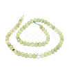 Natural Prehnite Beads Strands G-O201A-06E-2