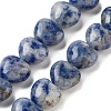 Natural Blue Spot Jasper Beads Strands G-B022-26C-2