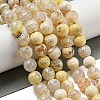 Faceted Natural Fire Crackle Agate Beads Strands G-F447-12mm-H02-2