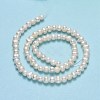 Natural Cultured Freshwater Pearl Beads Strands PEAR-F018-13B-3