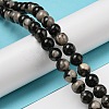 Natural Black Fossil Coral Beads Strands G-R494-A04-03-4