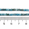 Natural Apatite Beads Strands G-F770-D09-02B-5