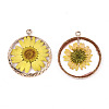 Transparent Clear Epoxy Resin & Dried Flower Pendants X-RESI-S383-076A-A02-2