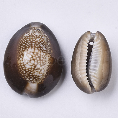 Natural Cowrie Shell Pendants X-SSHEL-N034-24-1