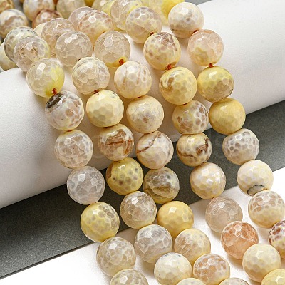 Faceted Natural Fire Crackle Agate Beads Strands G-F447-12mm-H02-1