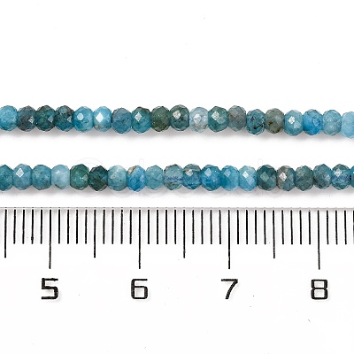 Natural Apatite Beads Strands G-F770-D09-02B-1