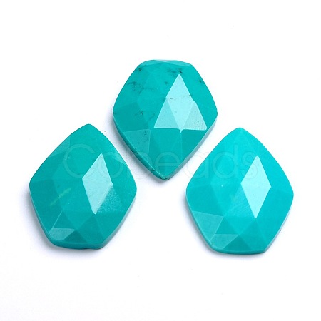 Dyed Faceted Natural Howlite Cabochons X-G-D763-02-1