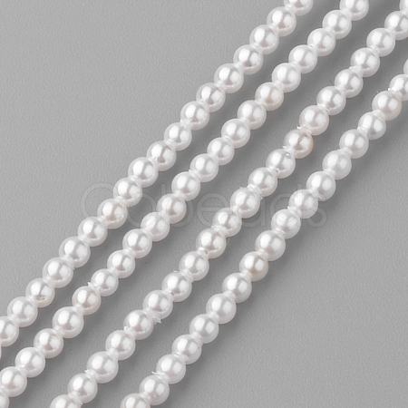 Shell Pearl Beads Strands PEAR-R064-94-1