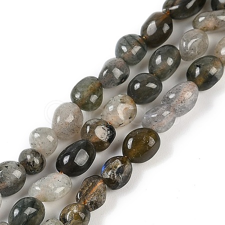 Natural Labradorite Beads Strands G-P497-01B-03-1