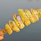 Natural Electroplated Crystal Hair Bands, with Yellow Quartz Chips, Crown Hair Bands, for Women Girls, 270x180x30mm