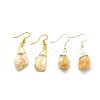 Natural Citrine Dangle Earring EJEW-F173-D02-1