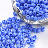Baking Paint Glass Seed Beads SEED-Q025-3mm-L23-1