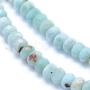Natural Larimar Beads Strands G-I279-D01-01-3