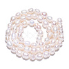 Natural Baroque Pearl Keshi Pearl Beads Strands PEAR-S020-F04-01-4