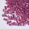 8/0 Two Cut Glass Seed Beads SEED-S033-10A-01-2