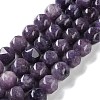 Natural Lepidolite Beads Strands G-NH0021-A07-02-1