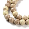 Natural Rainbow Alashan Agate Beads Strands G-NH0022-A05-02-4