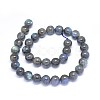 Natural Labradorite Beads Strands G-F602-04-10mm-2