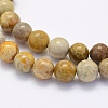 Natural Fossil Coral Beads Strands X-G-G697-F01-4mm-3