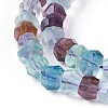 Natural Rainbow Fluorite Beads Strands G-P243-15-M-3