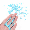 (Repacking Service Available) Glass Seed Beads SEED-C019-4mm-43-4