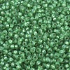 MIYUKI Round Rocailles Beads X-SEED-G007-RR0646-3
