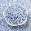 Glass Seed Beads SEED-K009-02B-18-2