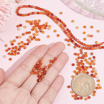 Nbeads 2 Strands Natural Carnelian Beads Strands G-NB0004-20-1