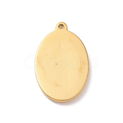 304 Stainless Steel Pendants STAS-G287-12G-1