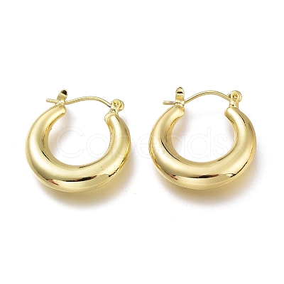 Brass Hoop Earrings EJEW-H104-21G-1