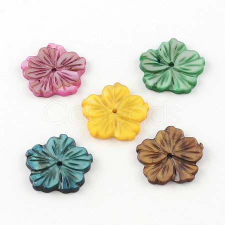 Dyed Plum Blossom Flower Natural Freshwater Shell Beads SHEL-R009-63-1