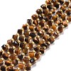 Natural Tiger Eye Beads Strands G-P463-39-1