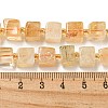 Natural Citrine Beads Beads Strands G-G053-B09-01C-5