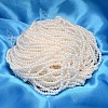 Round Shell Pearl Bead Strands BSHE-L011-2.5mm-A013-2