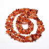 Natural Agate Chip Bead Strands X-G-M205-47-2
