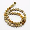 Natural Fossil Coral Beads Strands G-K194-8mm-05-2