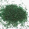 8/0 Transparent Glass Round Seed Beads SEED-J010-F8-37-2