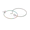 Rainbow Color Ion Plating(IP) 316 Surgical Stainless Steel Hoop Earrings Findings STAS-D183-02M-02-2