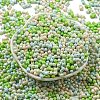 Opaque Baking Paint Glass Seed Beads SEED-K009-01A-31-2