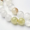 Natural Gemstone Beads Strands GSR12mmC008-2