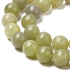 Natural Green Jade Beads Strands G-K340-A02-01-4